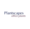 Plantscapes Office Plants